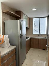 The Lakeshore (D22), Condominium #508262501